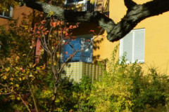 cropped-DSC_0008_mini_21
