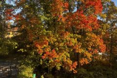 unnamed-2